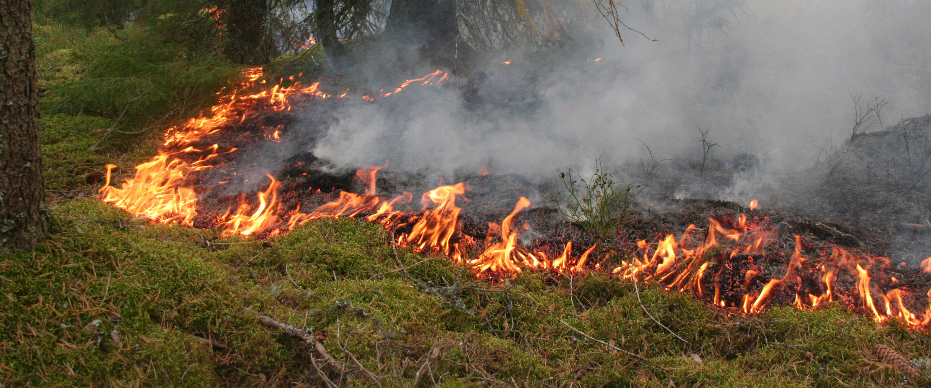 Skogsbrand - var beredd om det händer